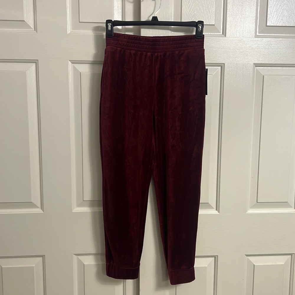 P18- NWT Wild Fable Burgundy Pull On Elastic Waistline Velour Pants Size XS
